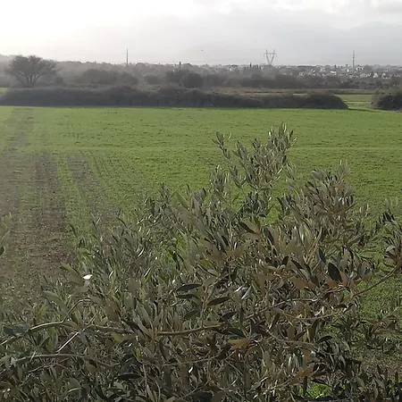 ταξιδιώτες Travellers